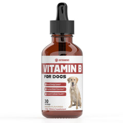 iVitamins Vitamin B for Dogs bacon-flavor bottle highlights tasty, easy-to-administer energy support
