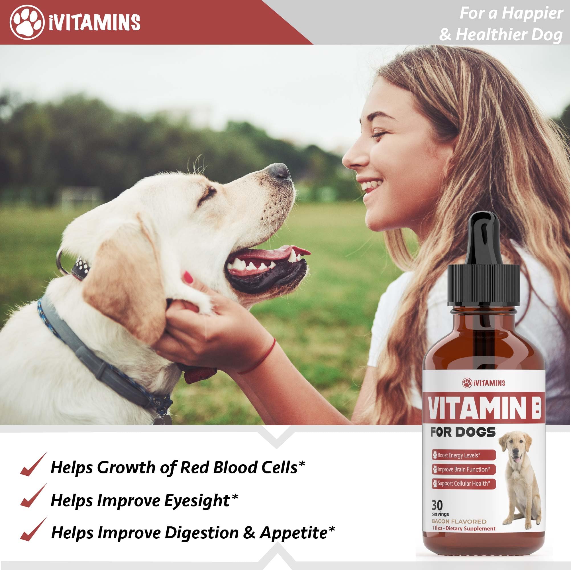 iVitamins Vitamin B cellular-health drops support cellular processes in dogs