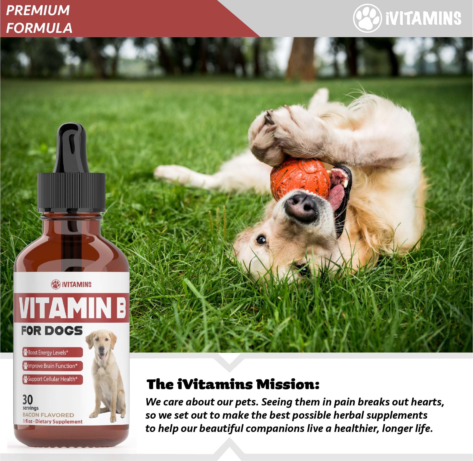 iVitamins Vitamin B dosage guide reminds owners to use the dropper