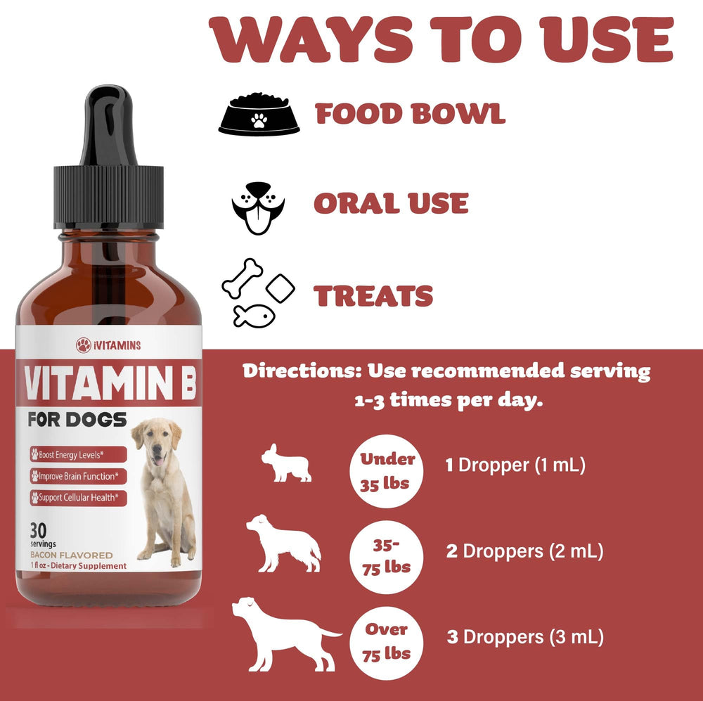 iVitamins Vitamin B for All Breeds bottle designed for all dog sizes