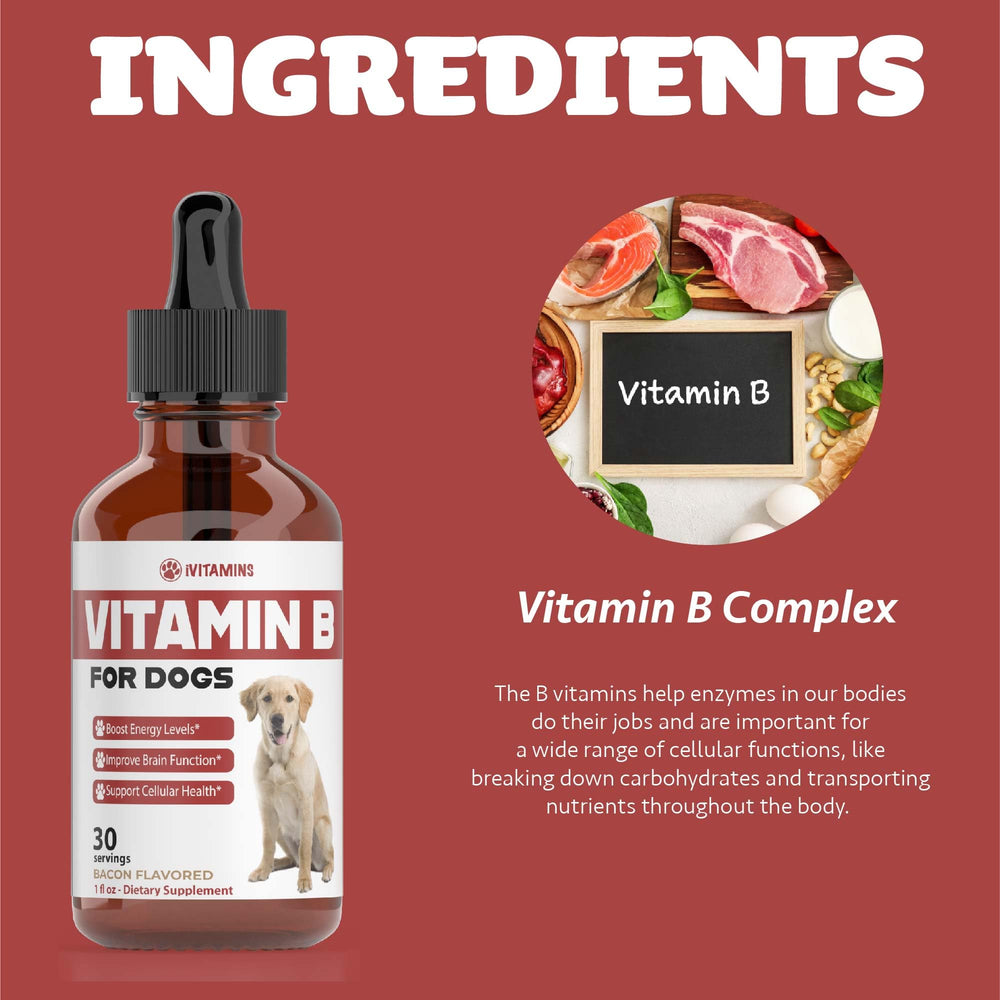 iVitamins Vitamin B USA-made cruelty-free dog supplement quality