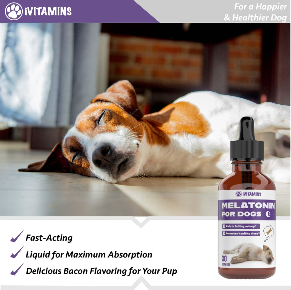 iVitamins Melatonin for Dogs may support immune health.
