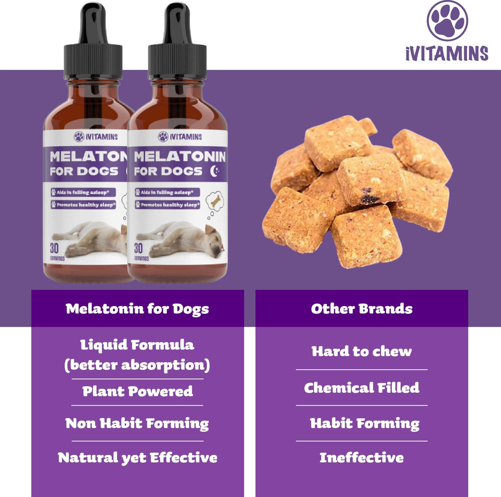 iVitamins Melatonin for Dogs USA-made supplement.