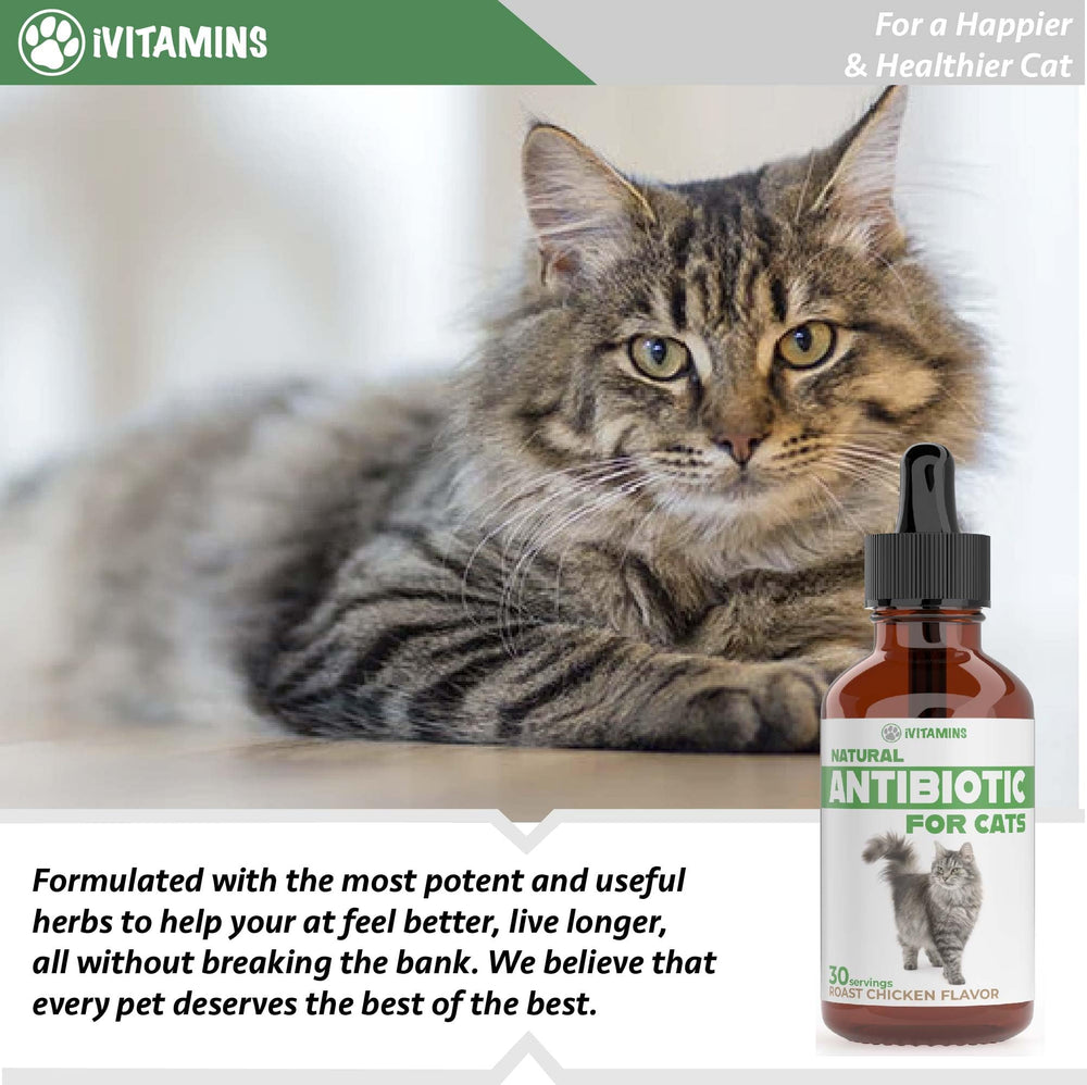 iVitamins Natural Antibiotics for Cats chicken-flavor drops attract picky eaters while supporting health.