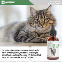 iVitamins Natural Antibiotics for Cats chicken-flavor drops attract picky eaters while supporting health.