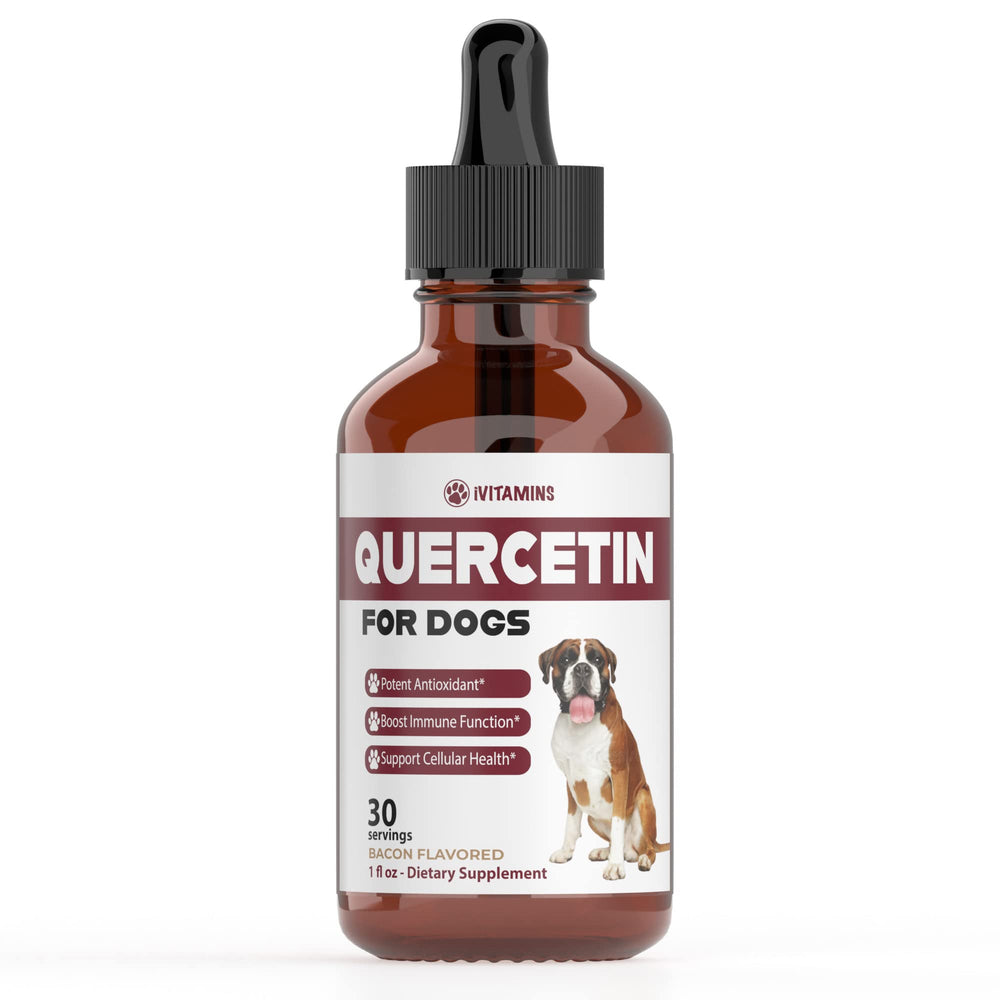 iVitamins Quercetin for Dogs bottle – natural drop formula for allergy relief and immune support