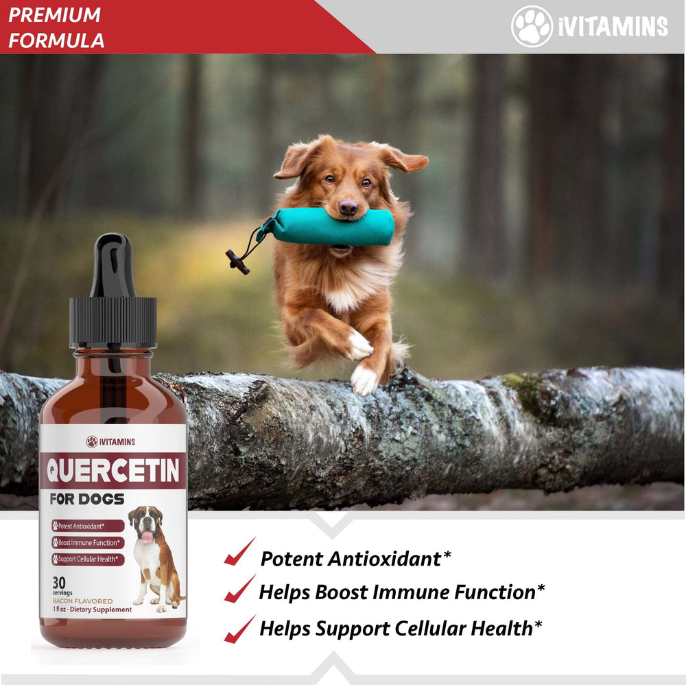 iVitamins Quercetin for Dogs drops-pour – easy administration with fast absorption