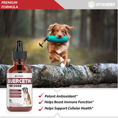 iVitamins Quercetin for Dogs drops-pour – easy administration with fast absorption