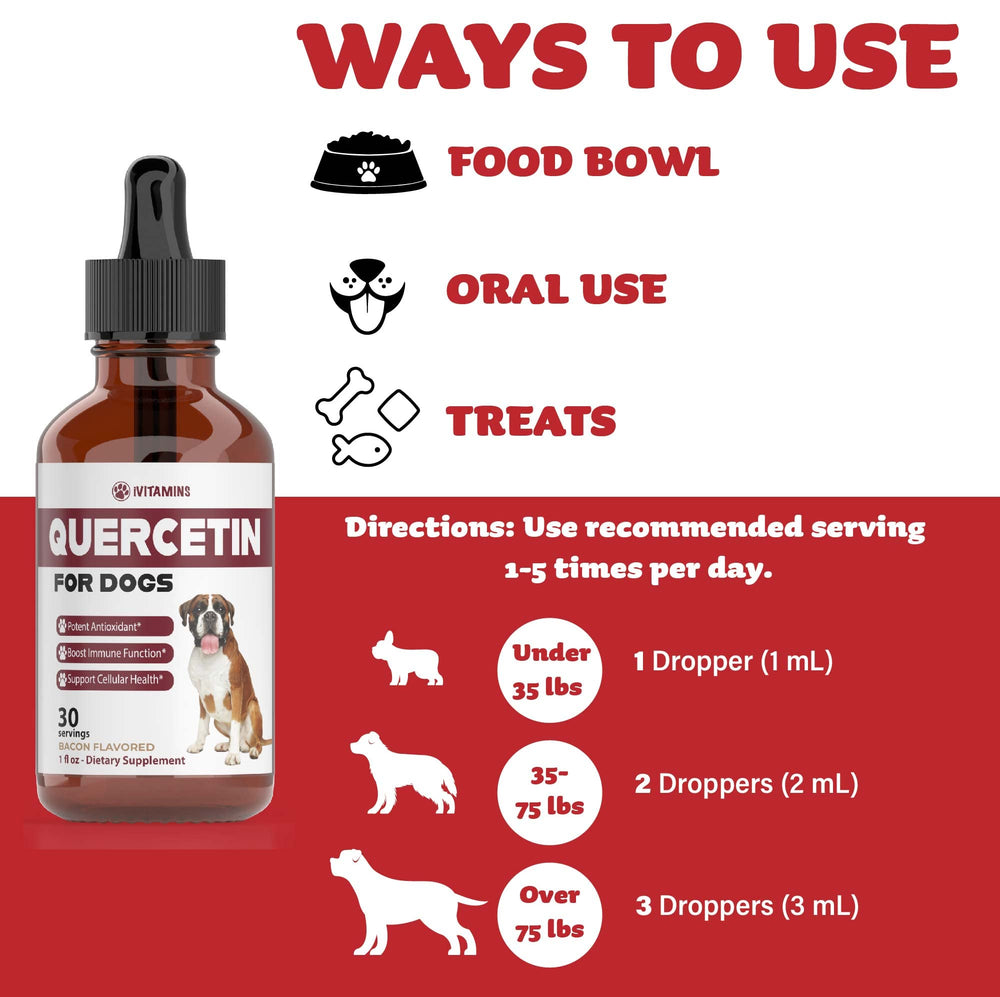 iVitamins Quercetin for Dogs immune-support – emphasizes immune balance and antioxidant benefits