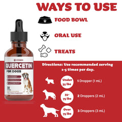 iVitamins Quercetin for Dogs immune-support – emphasizes immune balance and antioxidant benefits