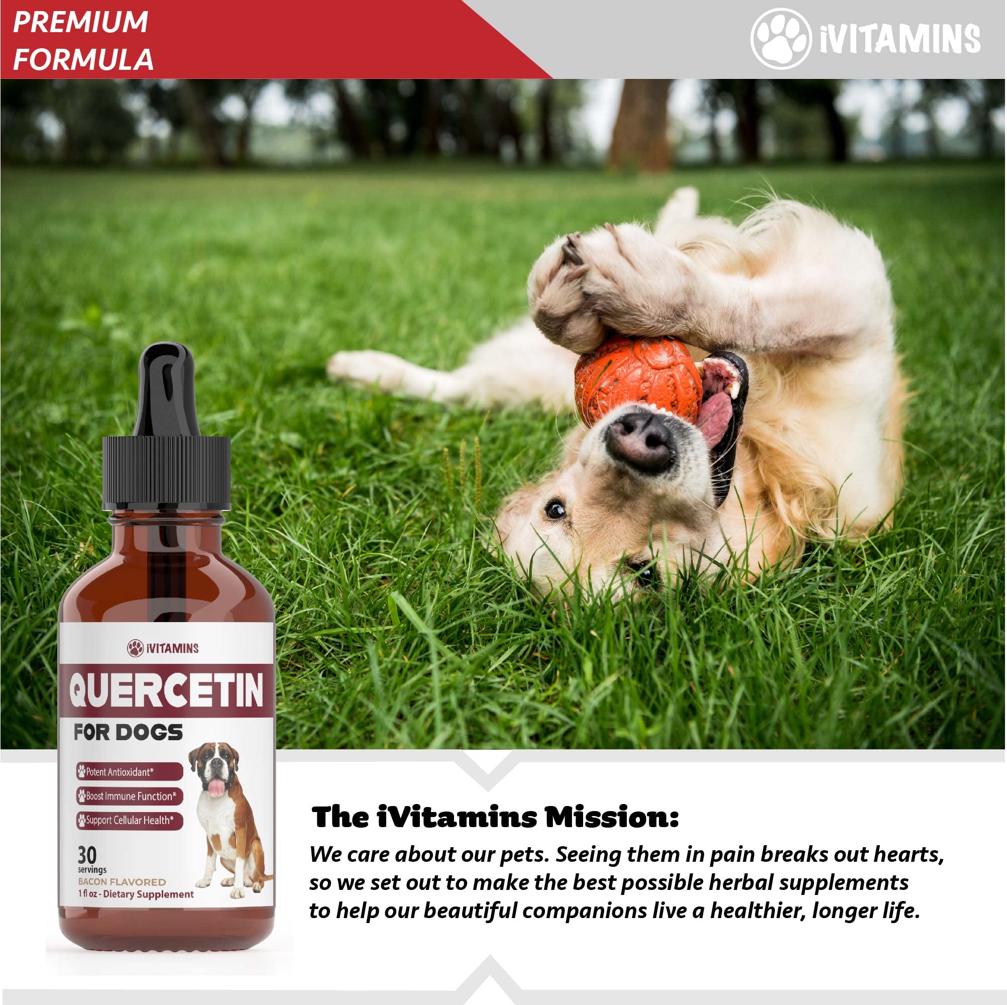 iVitamins Quercetin for Dogs bottle close-up – organic, non-GMO formula with no additives