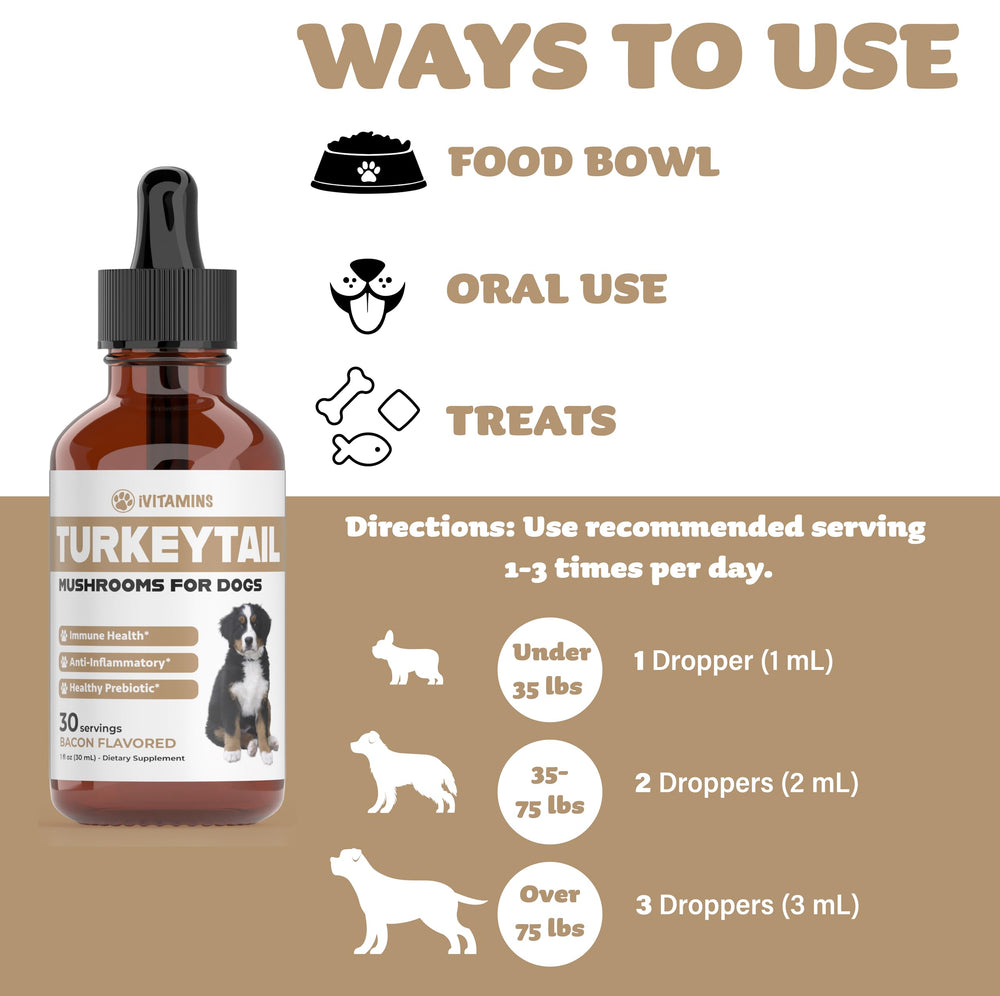 iVitamins Turkey Tail for Dogs liquid form supports gut health.