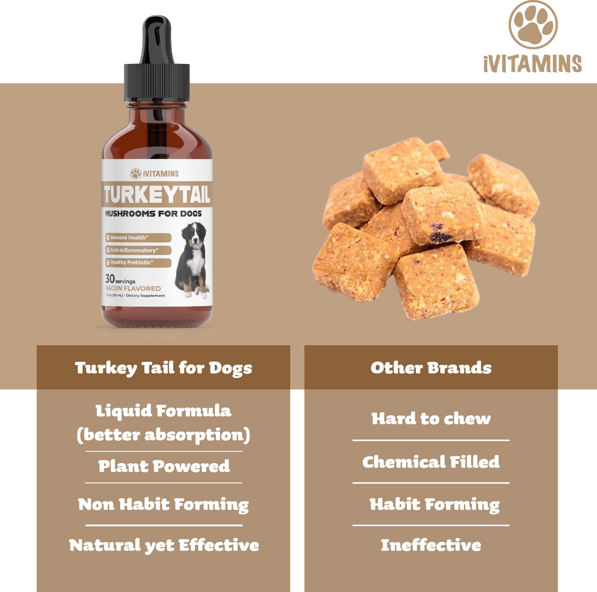 iVitamins Turkey Tail for Dogs dropper ready for precise oral dosing.