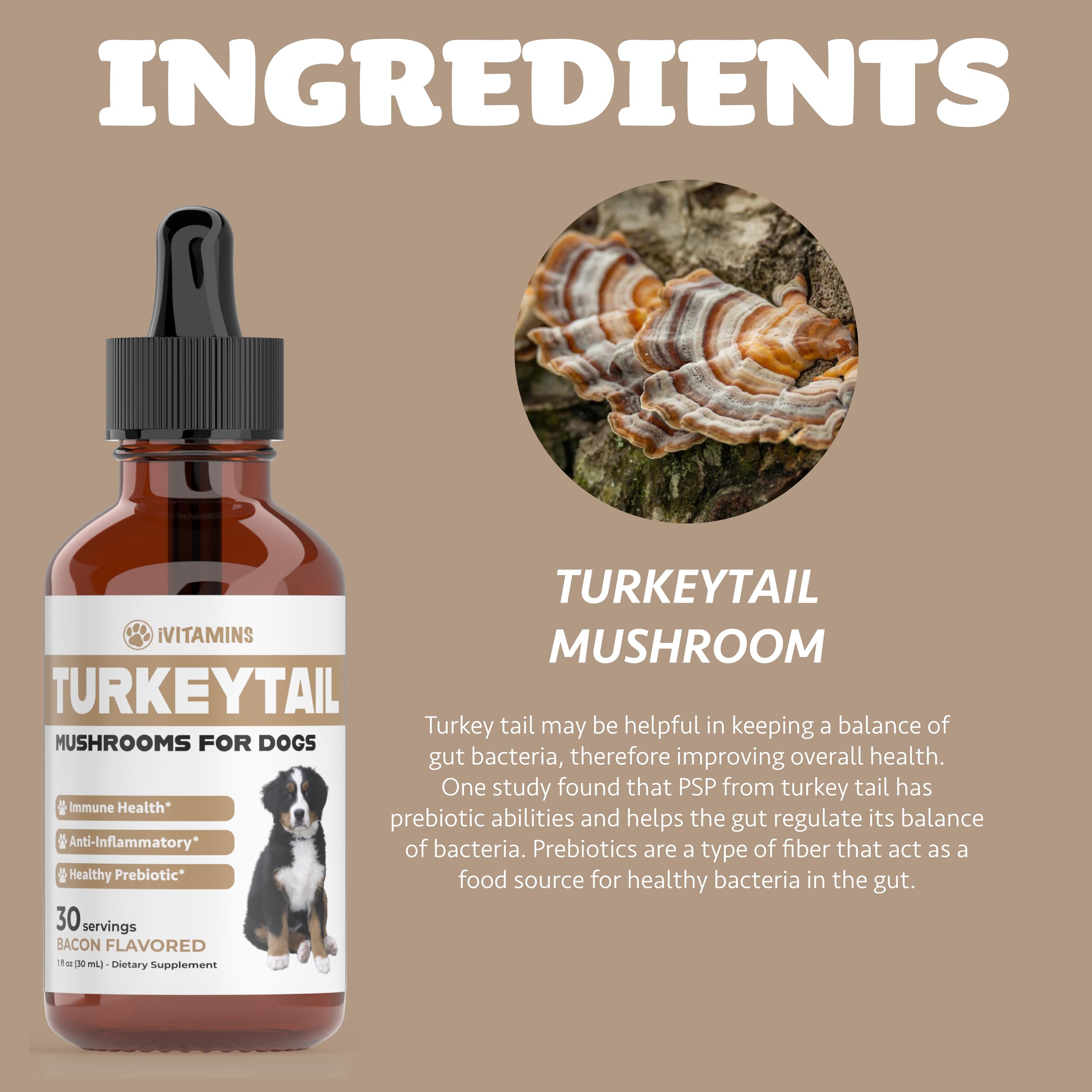 iVitamins Turkey Tail for Dogs immune-boosting liquid for daily routine.