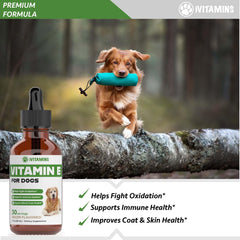 iVitamins Vitamin E for Dogs bacon-flavored drops support daily wellness