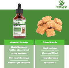 iVitamins Vitamin E for Dogs eye health support in daily care