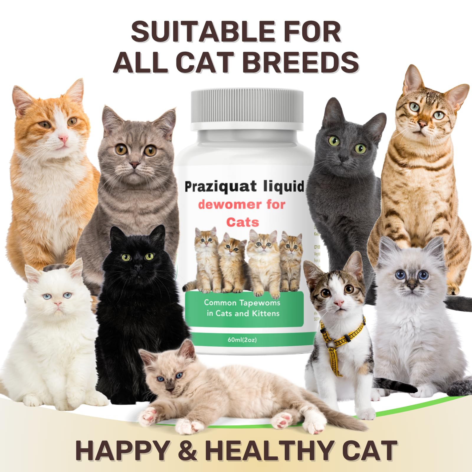 IVULTRA lvermect liquid with kitten gut-health focus for immune support