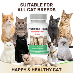 IVULTRA lvermect liquid with kitten gut-health focus for immune support