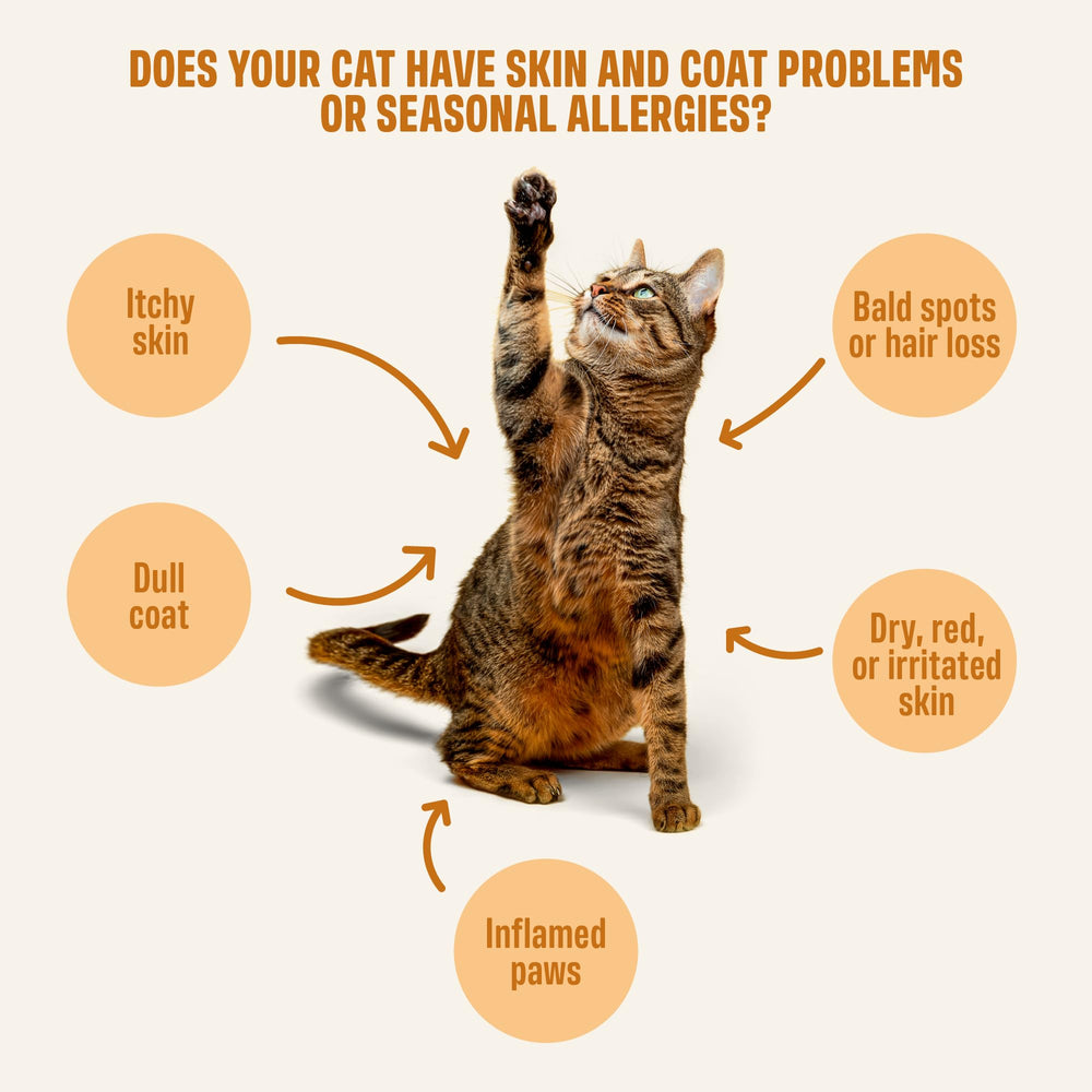 real tuna ingredient highlight in ivvi Skin & Coat for Cats