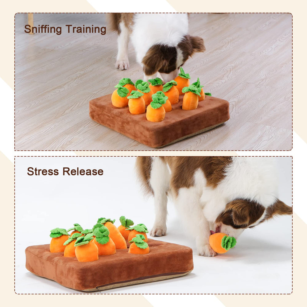 IVVIQQ 12 carrot pockets hidden food puzzles for nosework training