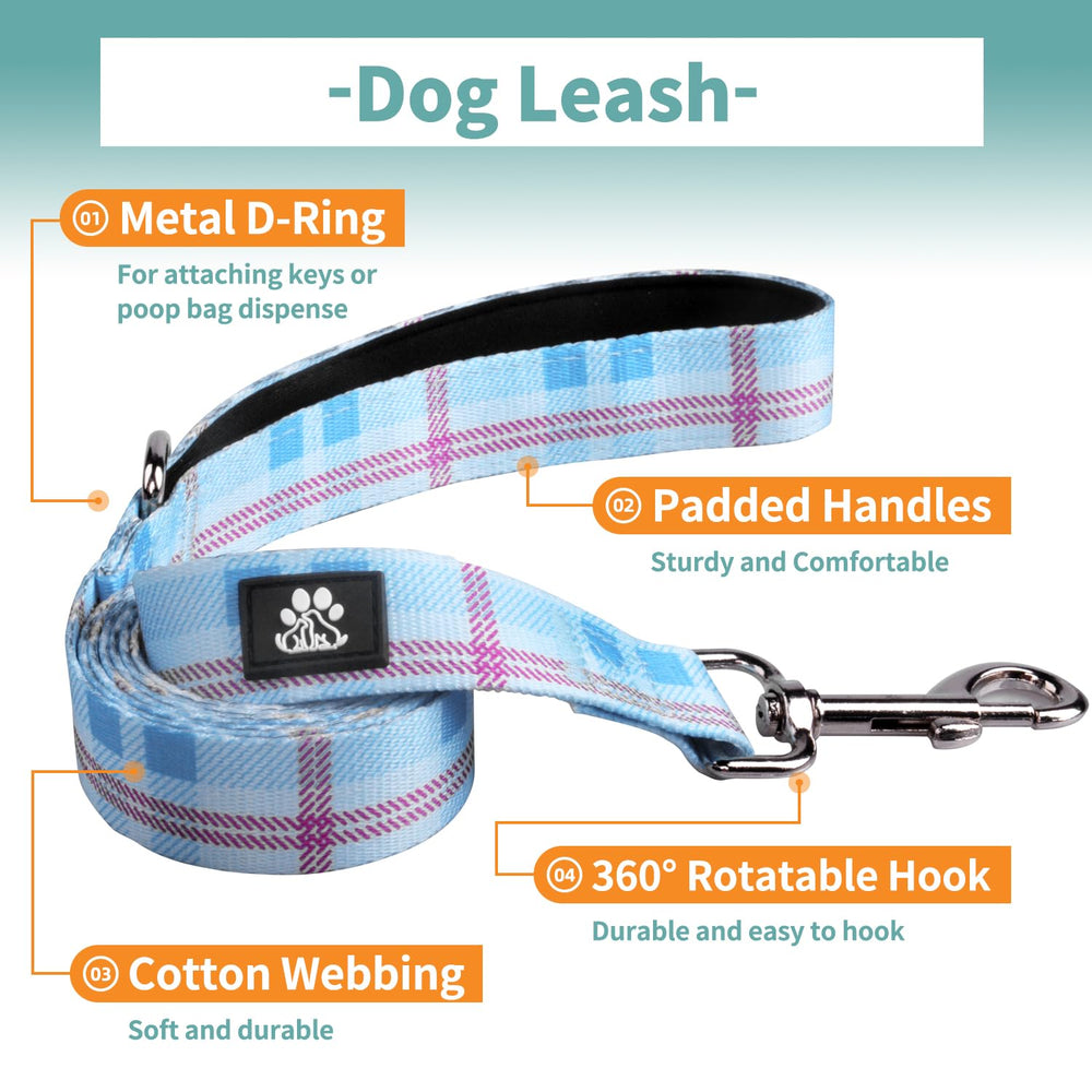 IVY&LANE collar with separate loop for tags and leashes and removable bowtie.