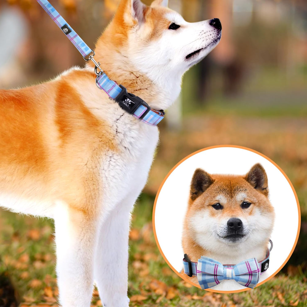 IVY&LANE 5ft leash with matching plaid collar for everyday outdoor walks.