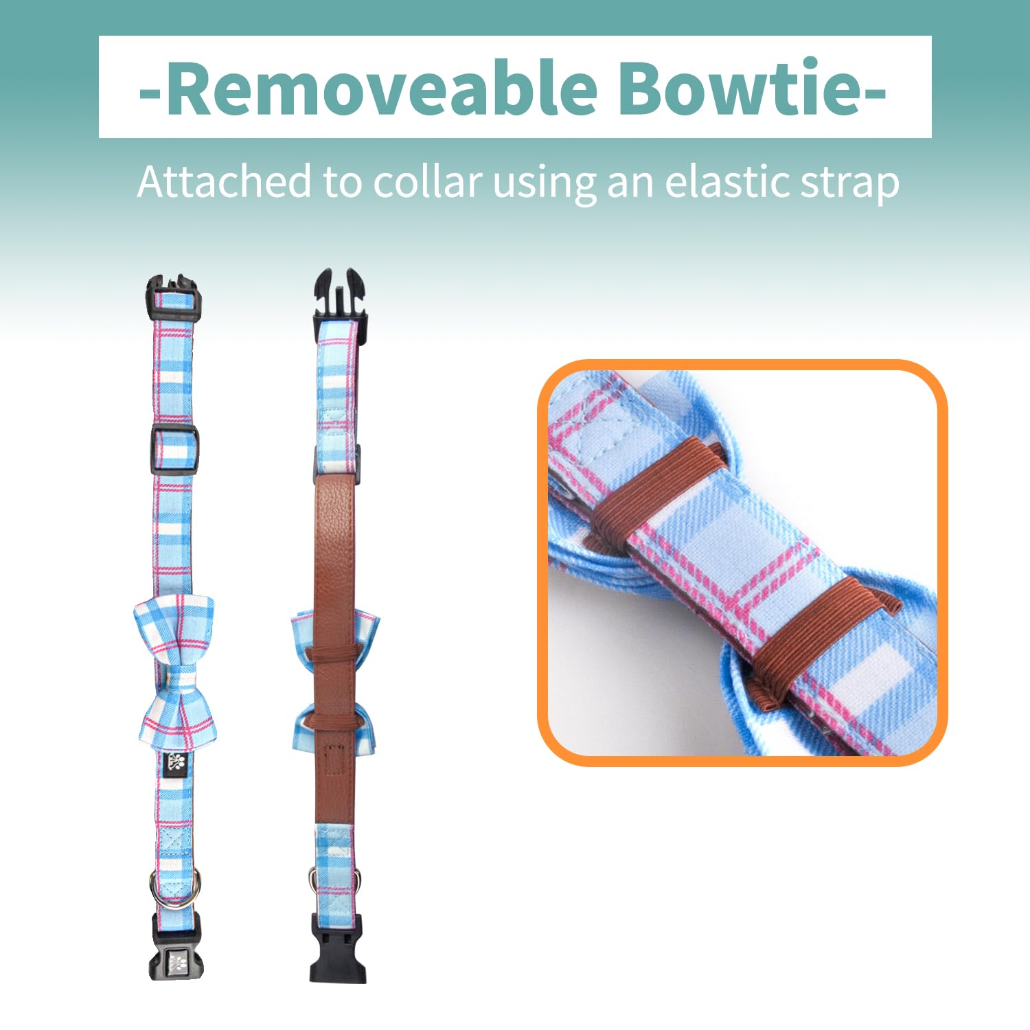 IVY&LANE checkered blue collar during a walk, showcasing durable cotton fabric.
