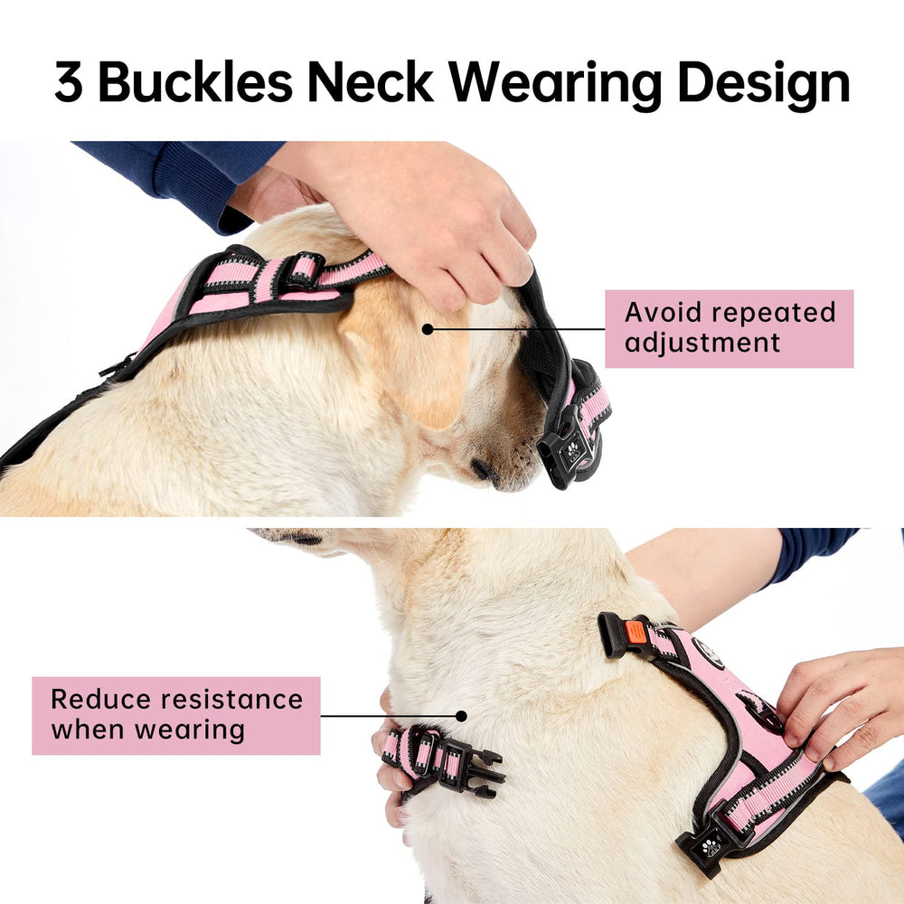 IVY&LANE No Pull Harness reflective strip boosts nighttime visibility.