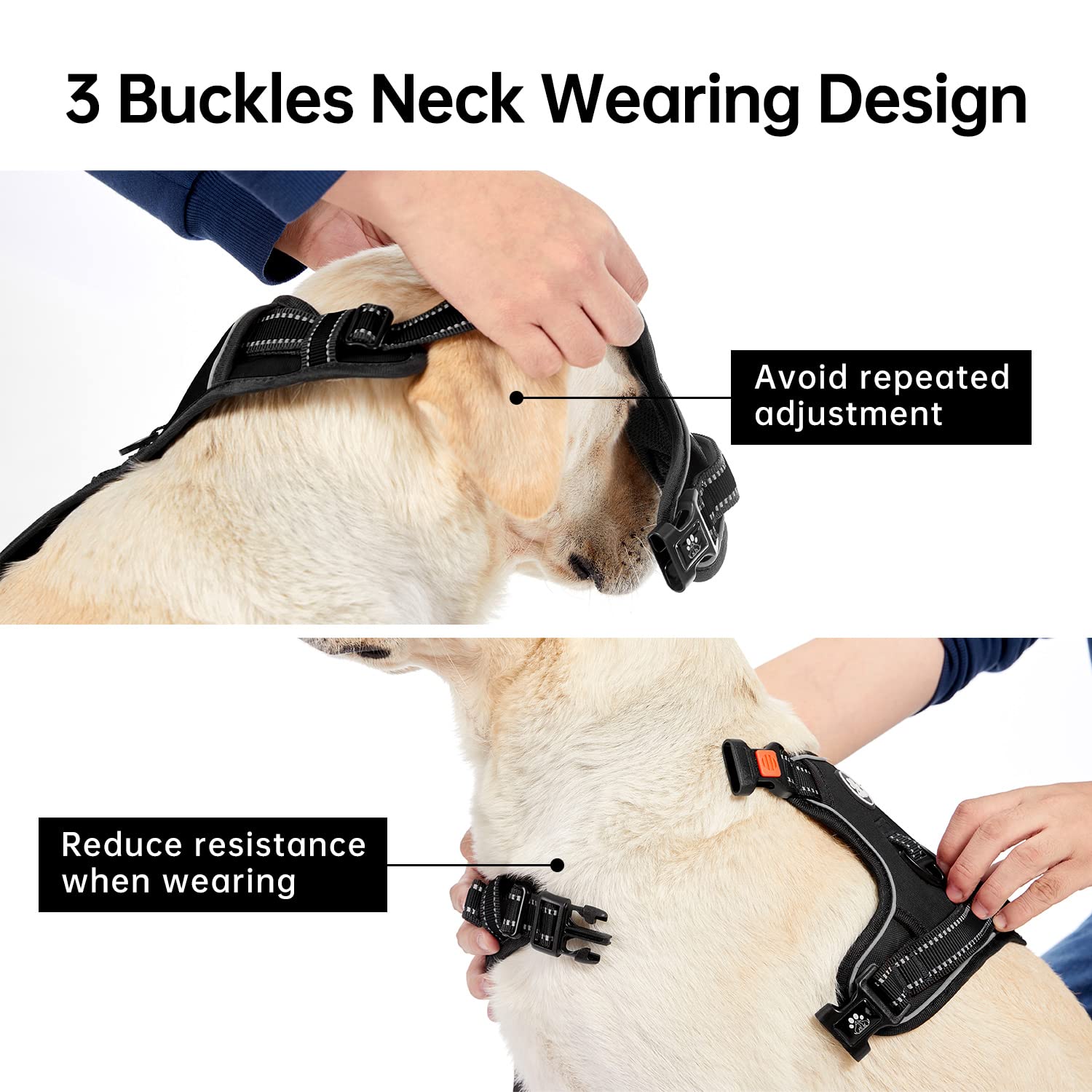 IVY&LANE reflective strip harness increases nighttime visibility for safer evening walks
