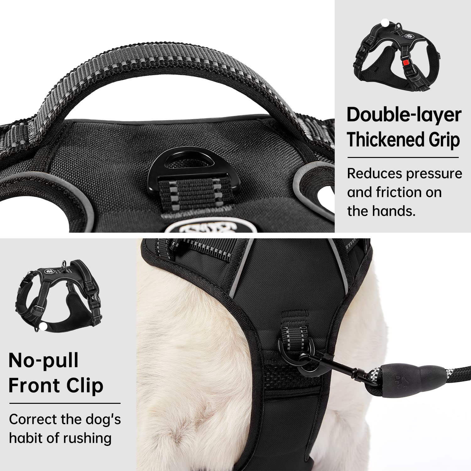 IVY&LANE soft-handle harness provides gentle control and secure grip