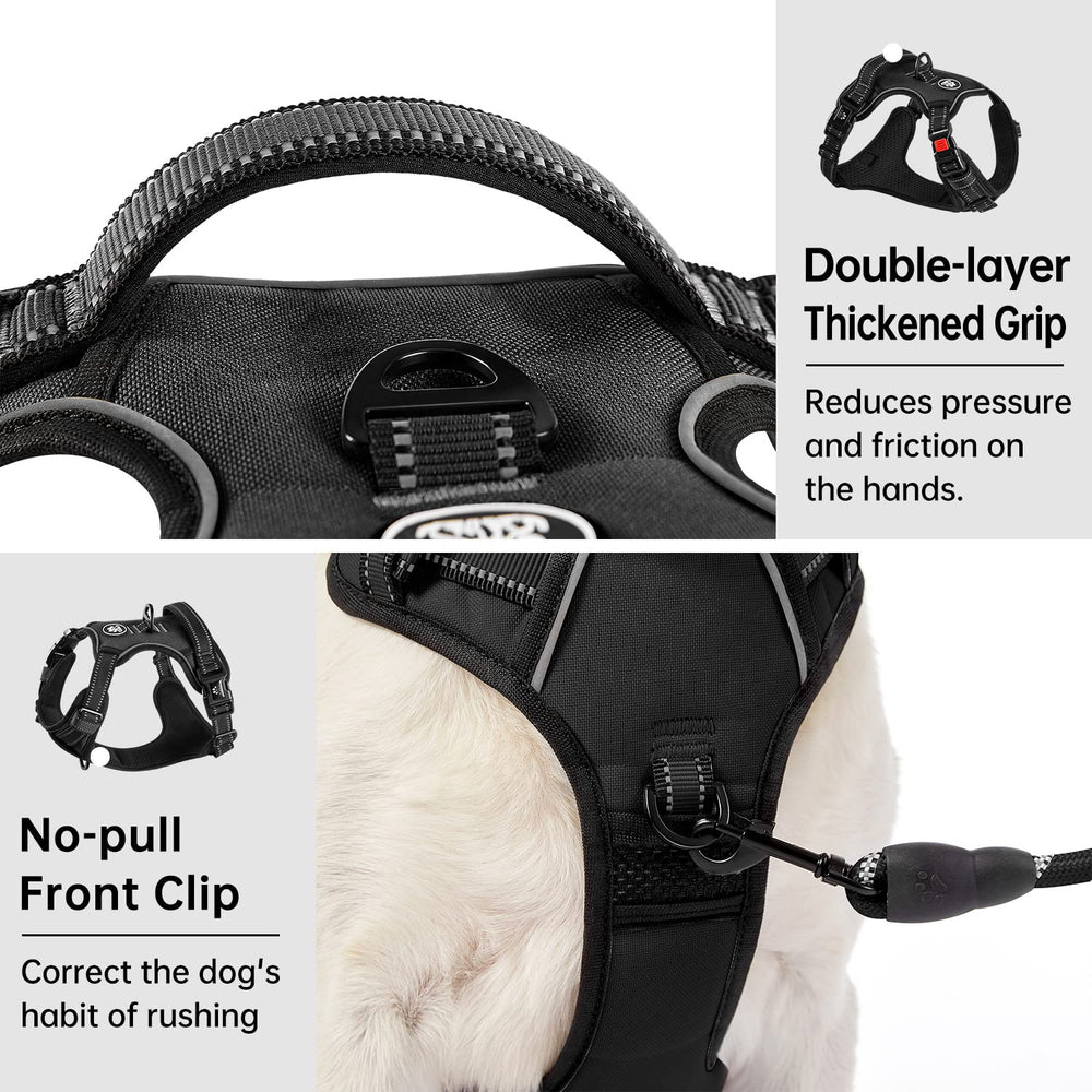 IVY&LANE soft-handle harness provides gentle control and secure grip