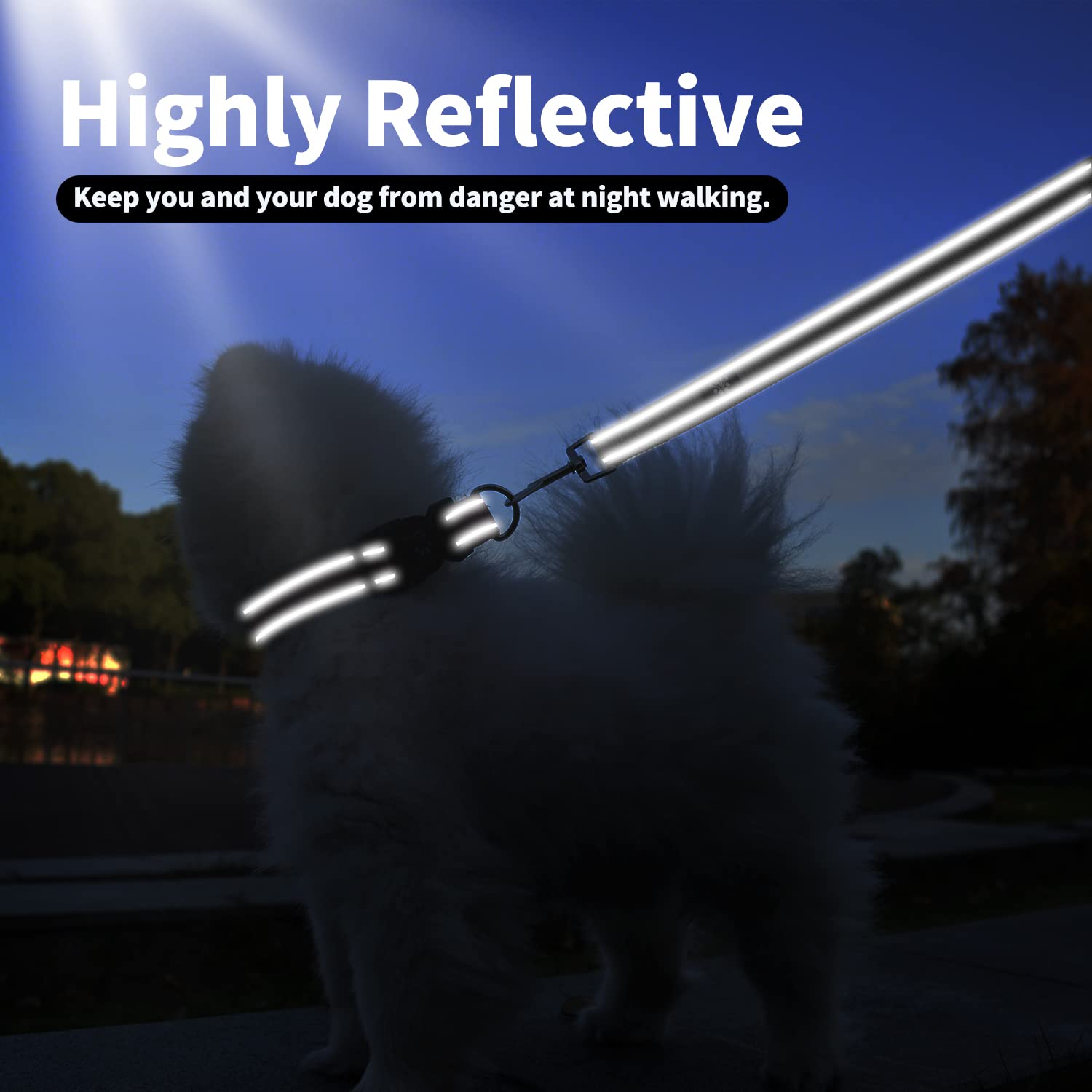 IVY&LANE quick-release buckle enables easy on/off for busy pet parents.