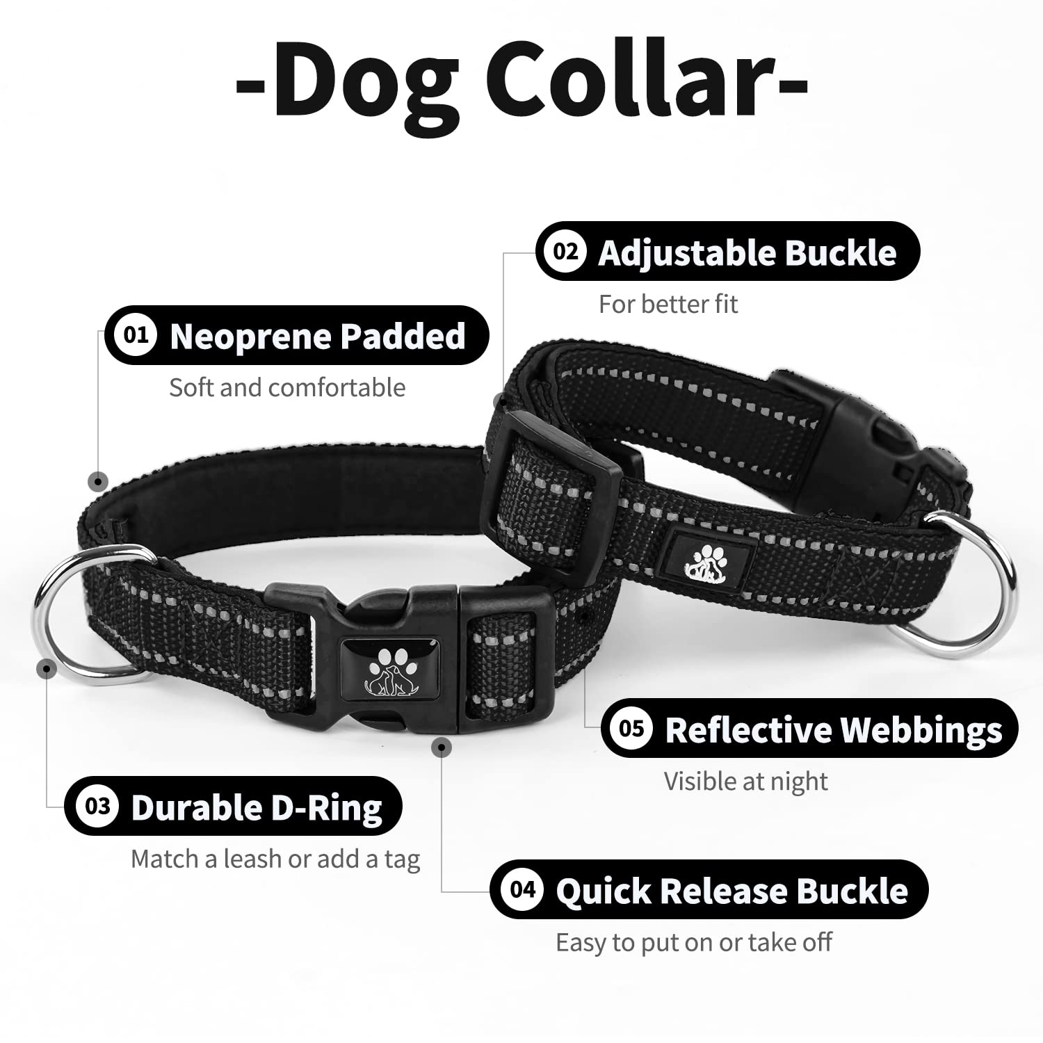 IVY&LANE reflective stitching on collar and leash boosts nighttime visibility and safety.