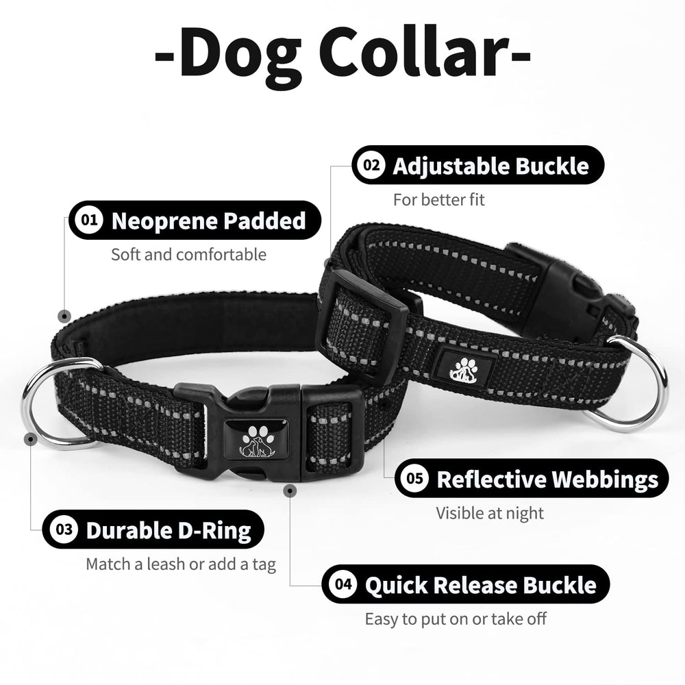 IVY&LANE reflective stitching on collar and leash boosts nighttime visibility and safety.