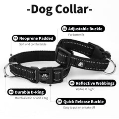 IVY&LANE reflective stitching on collar and leash boosts nighttime visibility and safety.