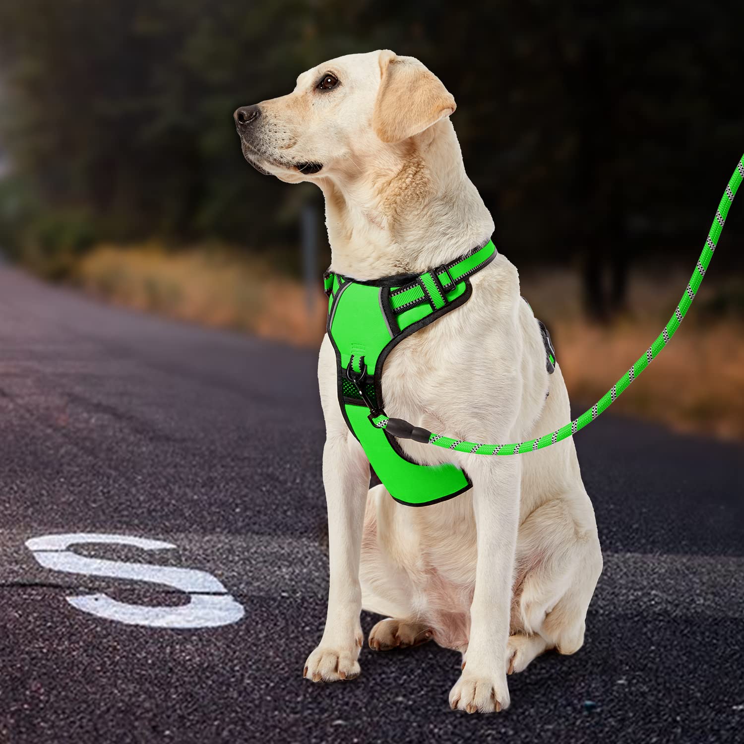 IVY&LANE 360-reflective green strip boosts night visibility