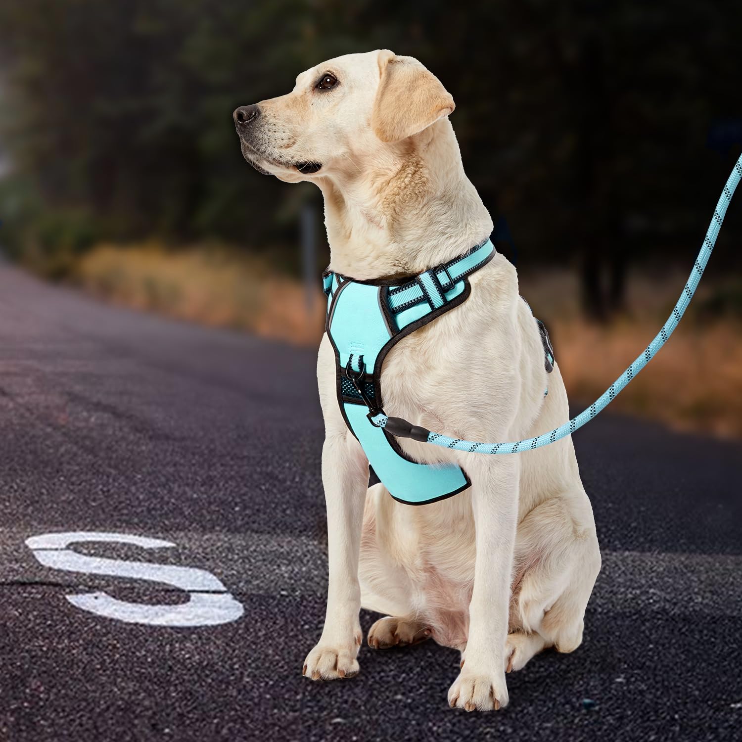 IVY&LANE Accessories storage turquoise keeps gear organized on trips