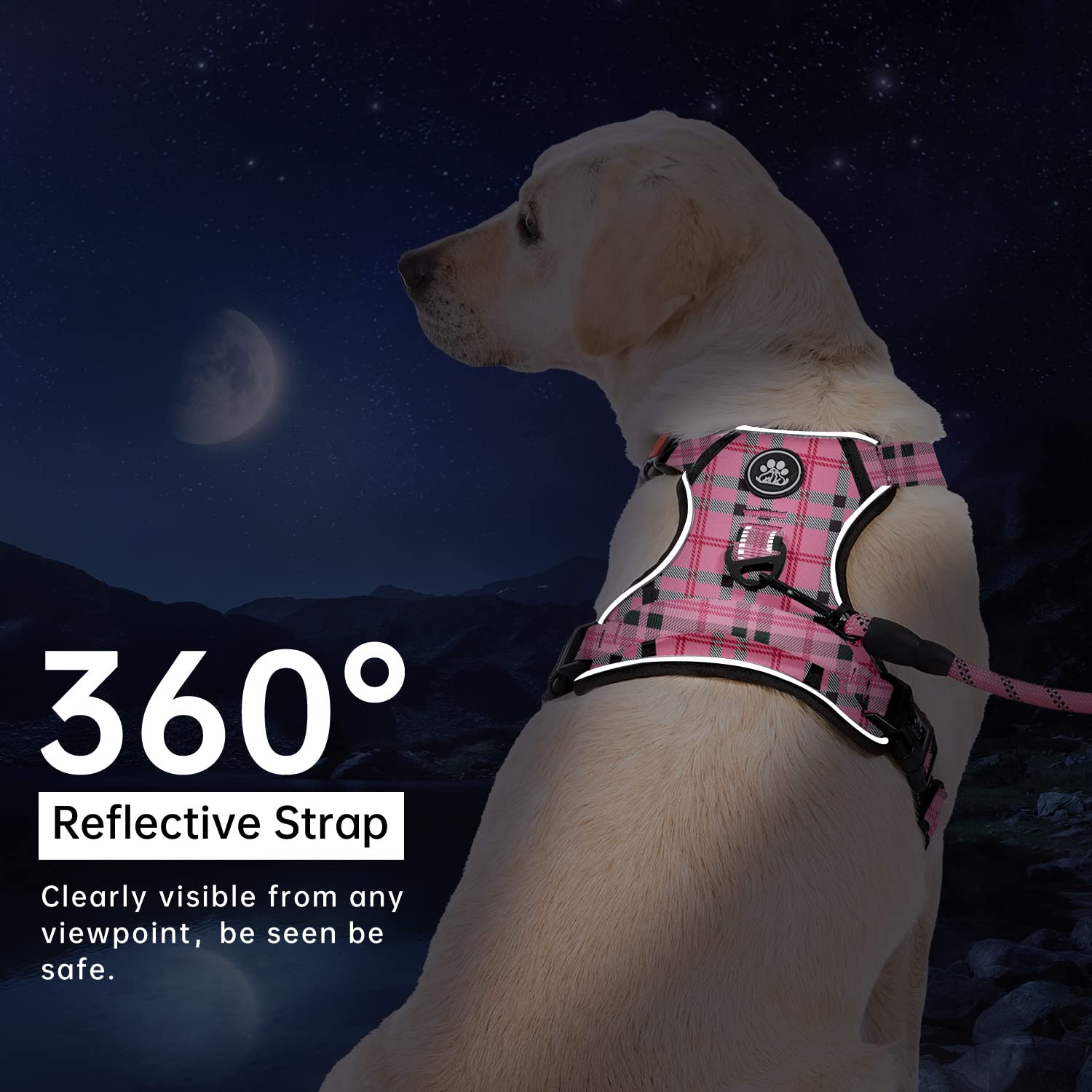IVY&amp;LANE adjustable webbing ensures a snug, comfortable fit.