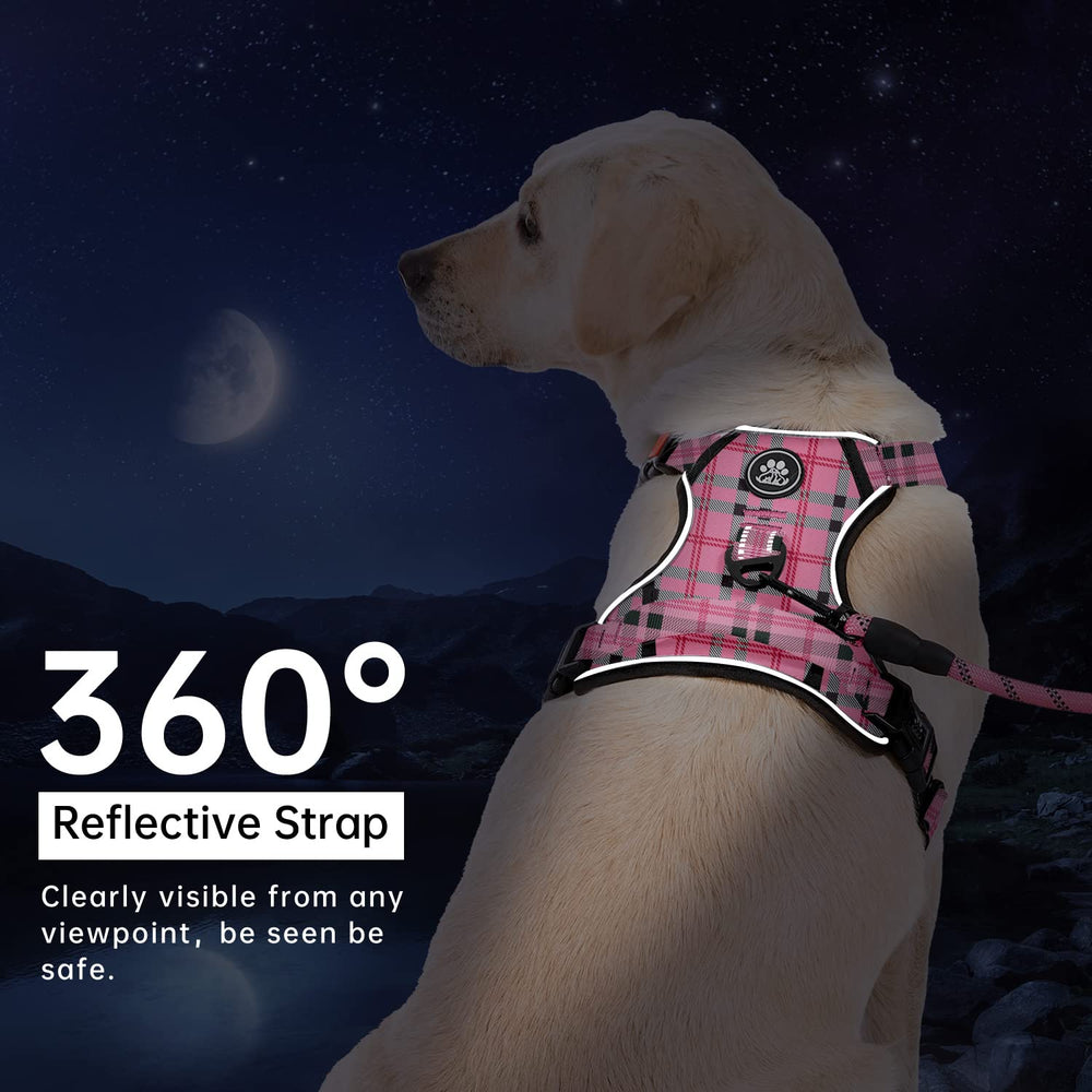IVY&amp;LANE adjustable webbing ensures a snug, comfortable fit.