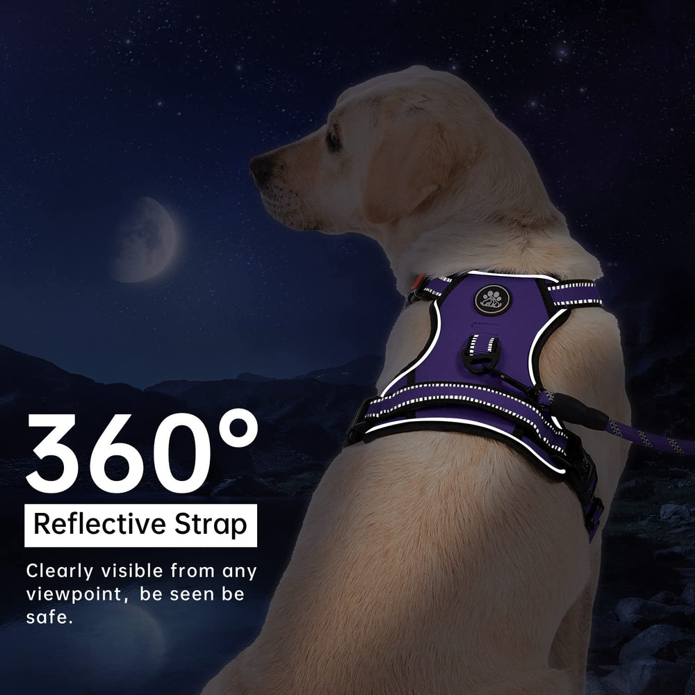 Ajuste preciso con cuatro correas IVY&LANE para un tamaño perfecto.