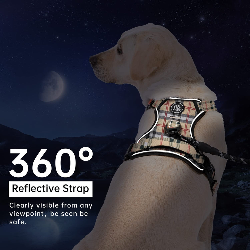 IVY&LANE four adjustable webbings demonstrate customizable fit for small dogs.
