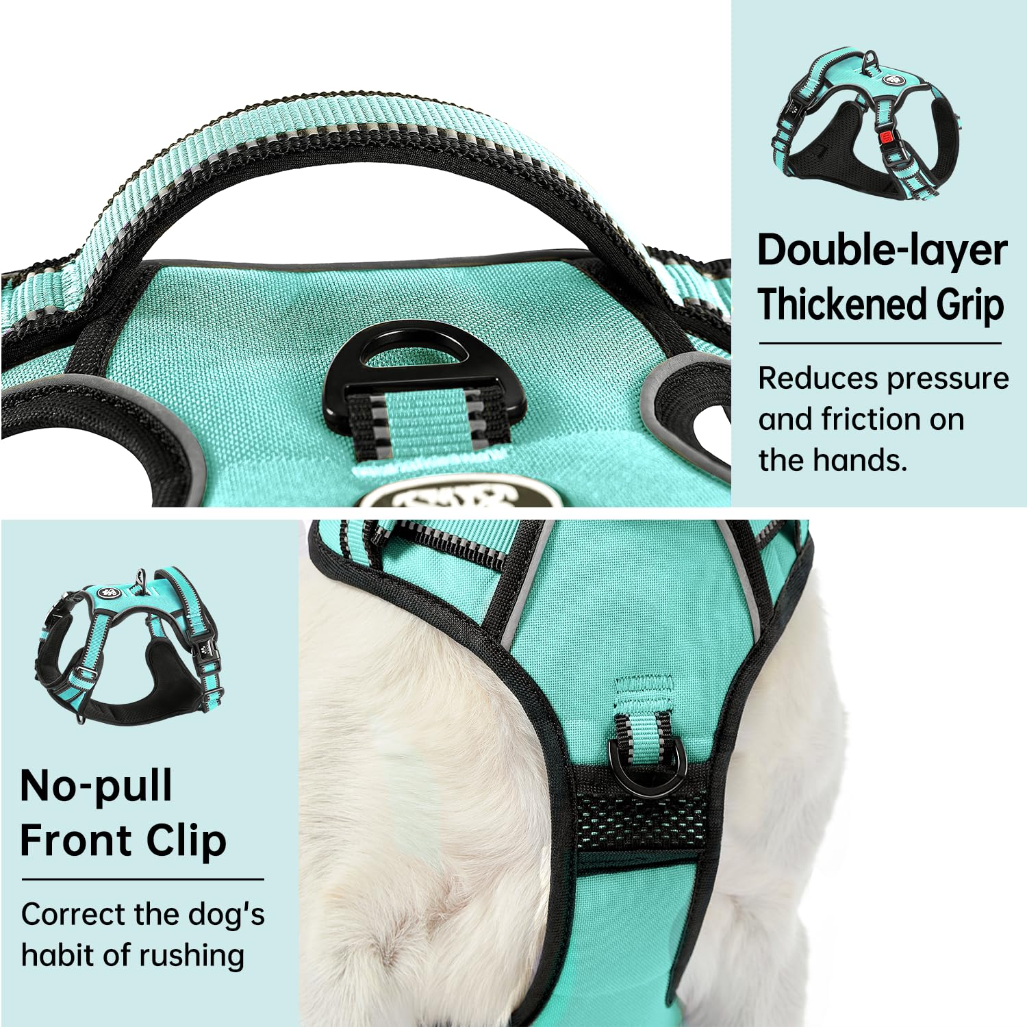 IVY&LANE Lockable neck buckle feature helps prevent escapes during play.