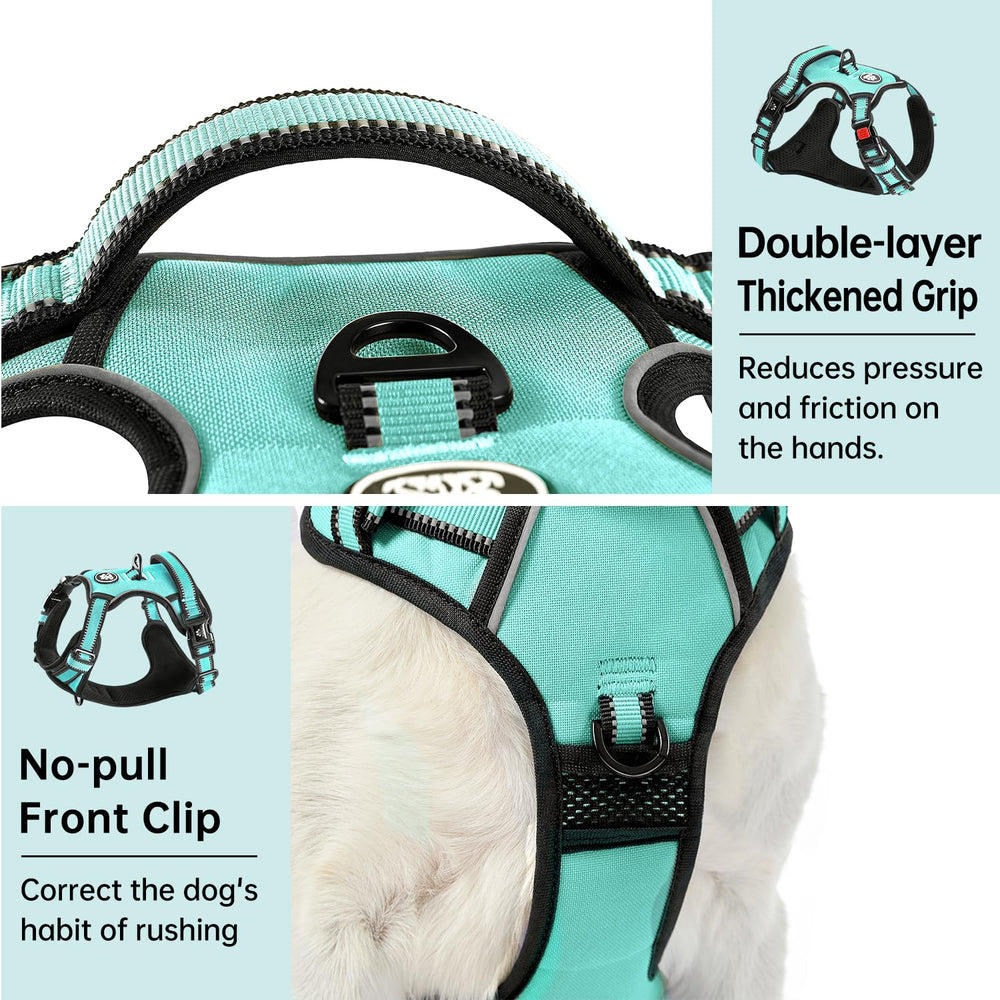 IVY&LANE Lockable neck buckle feature helps prevent escapes during play.