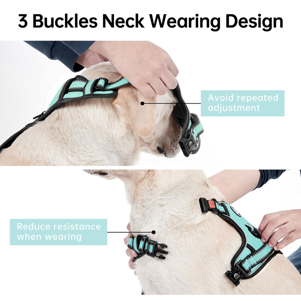IVY&LANE Harness reflective strip detail improves visibility during nighttime walks.
