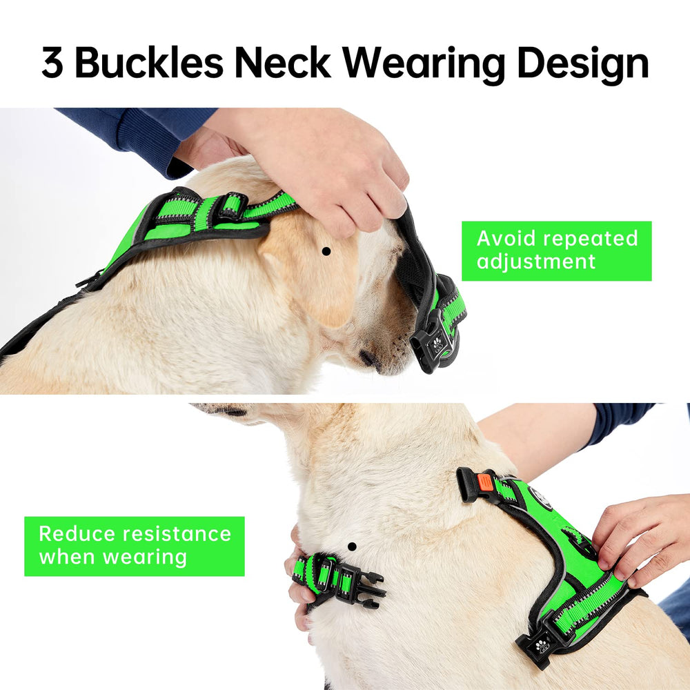 IVY&LANE leash green front-clip for controlled walks and tag attachment
