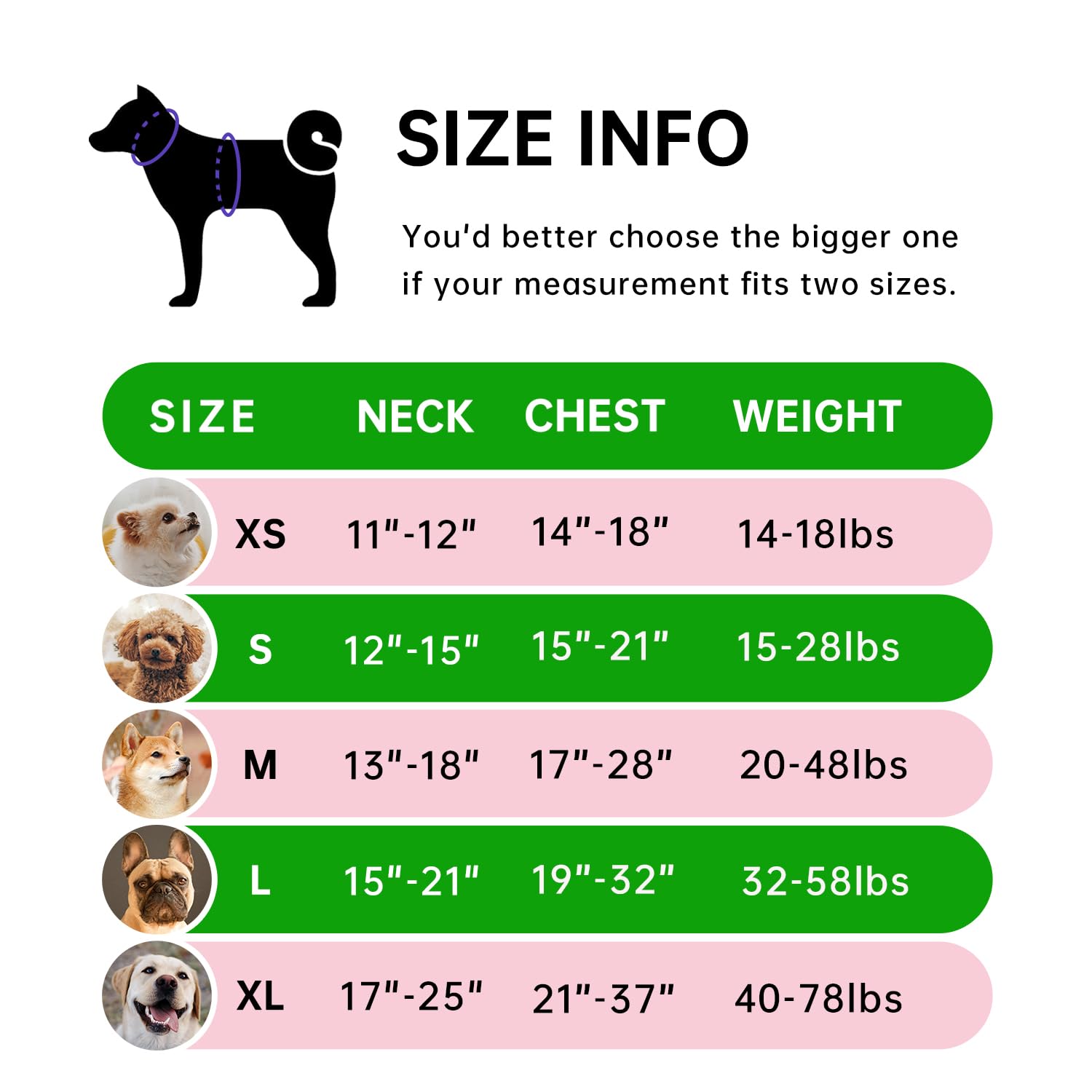 IVY&LANE No Pull Harness green back view showing full adjustment for medium dogs