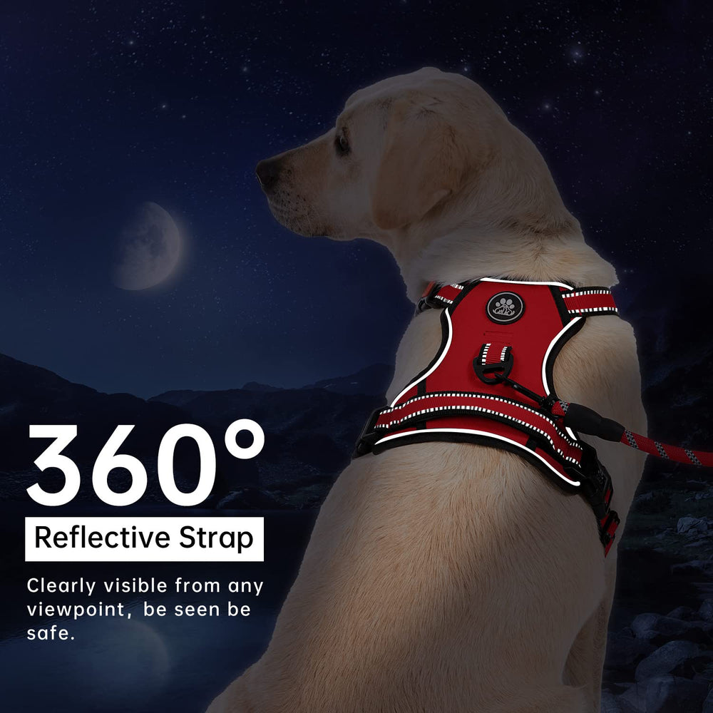 IVY&LANE No Pull Harness adjustable webbing ensures a snug fit.