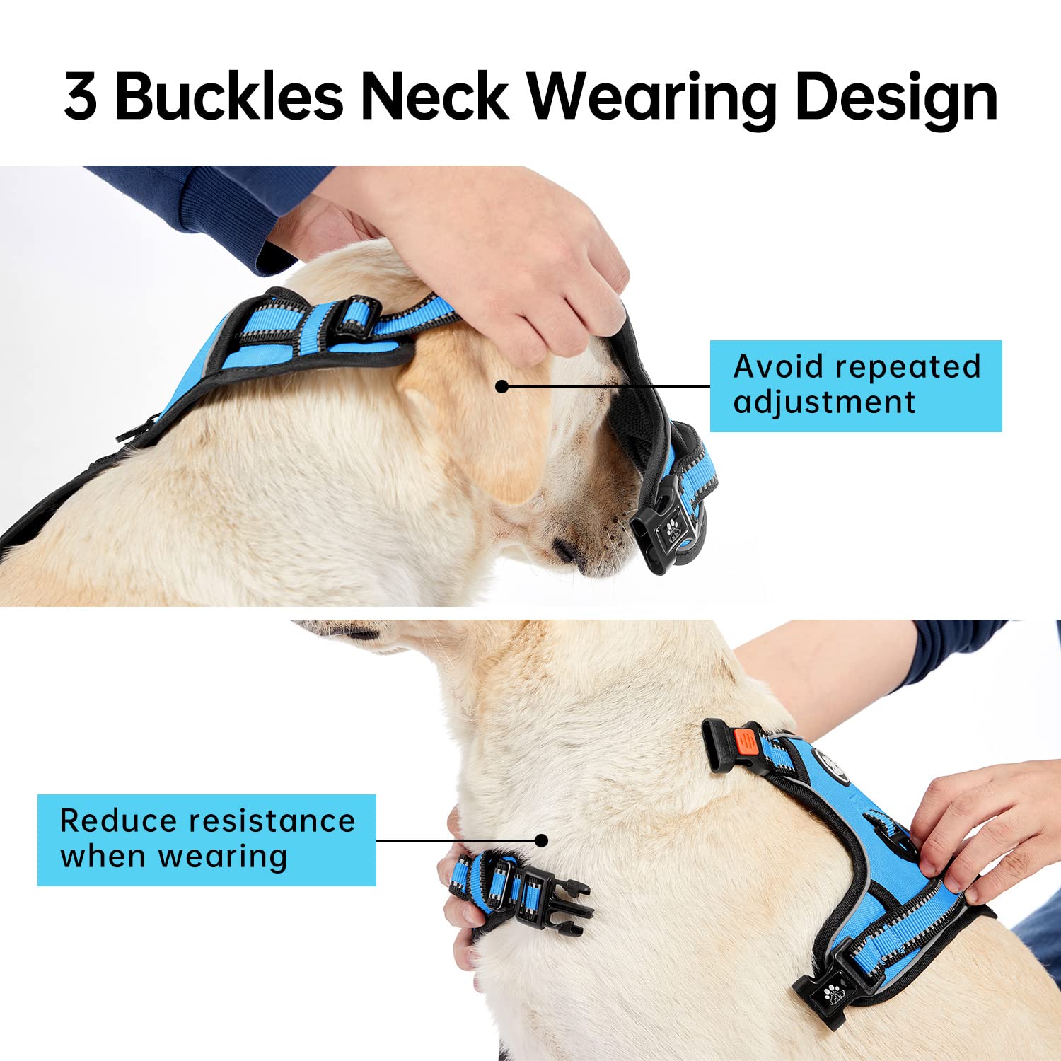 IVY&LANE No Pull Harness blue 360 reflective strip, improves visibility during evening walks.
