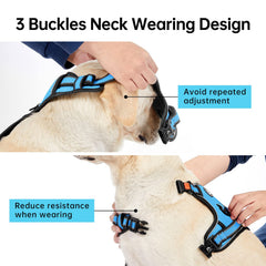 IVY&LANE No Pull Harness blue 360 reflective strip, improves visibility during evening walks.