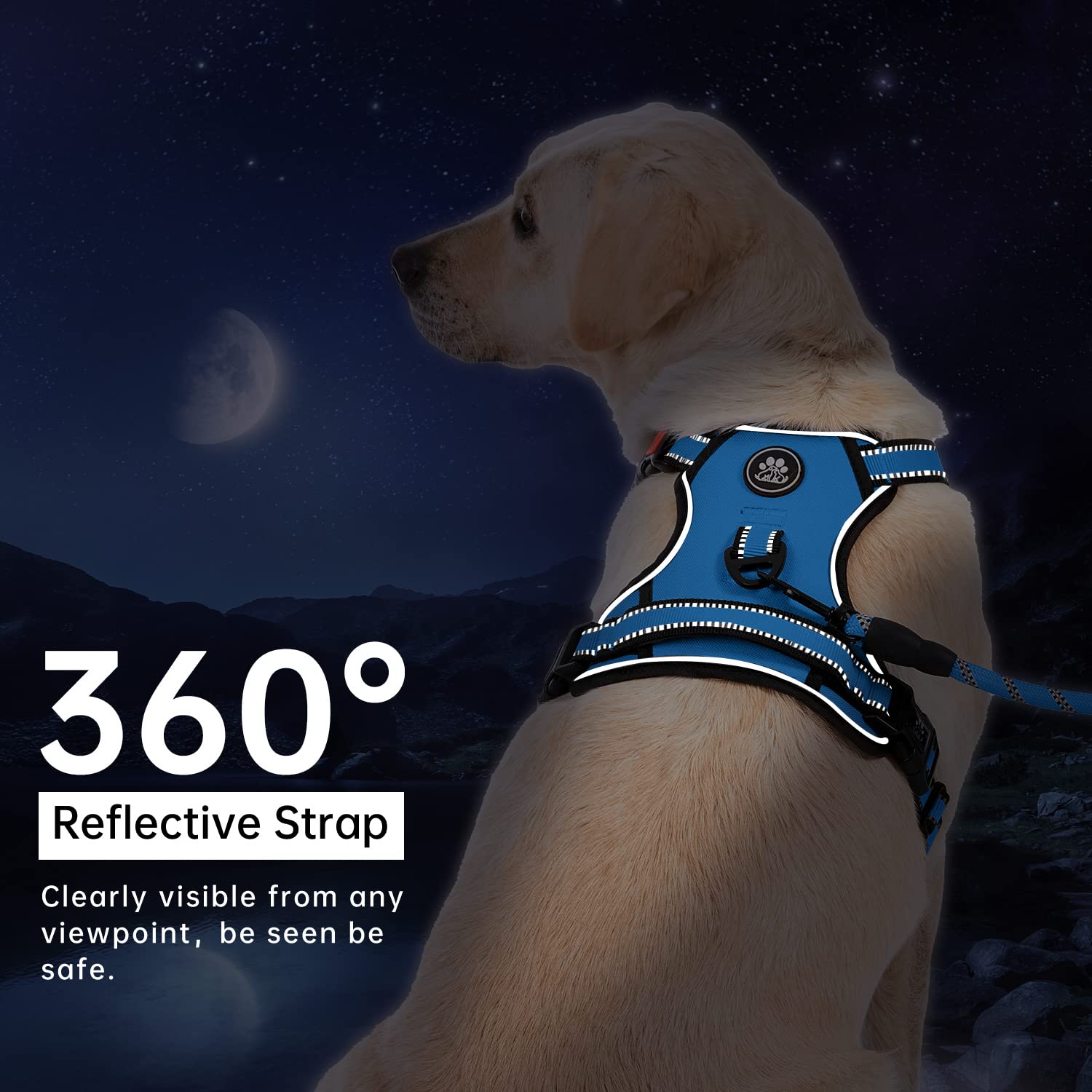 IVY&LANE No Pull Harness blue leash included, keeps training accessories together.